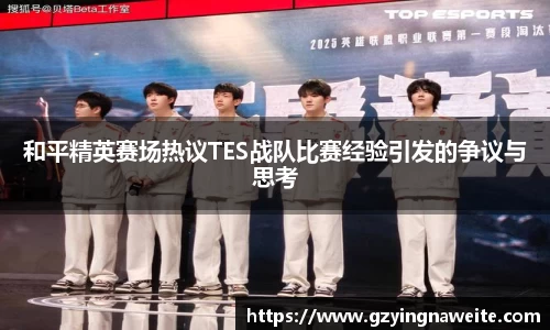 和平精英赛场热议TES战队比赛经验引发的争议与思考